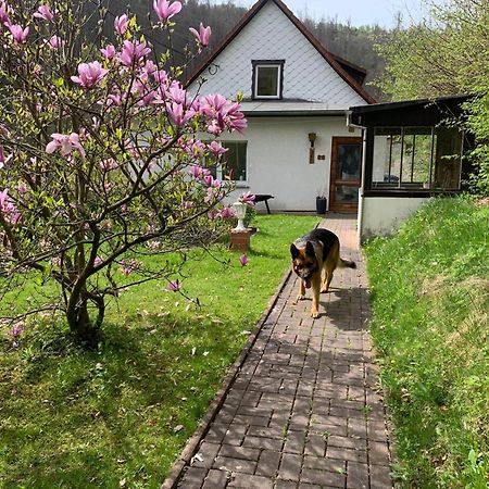 Ferienhaus Andrea Am Bodetal Treseburg Dış mekan fotoğraf