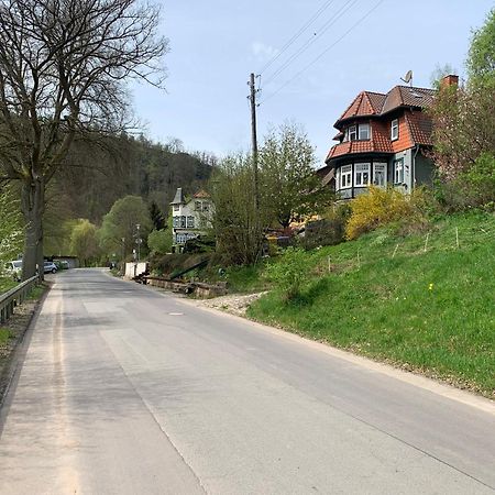 Ferienhaus Andrea Am Bodetal Treseburg Dış mekan fotoğraf