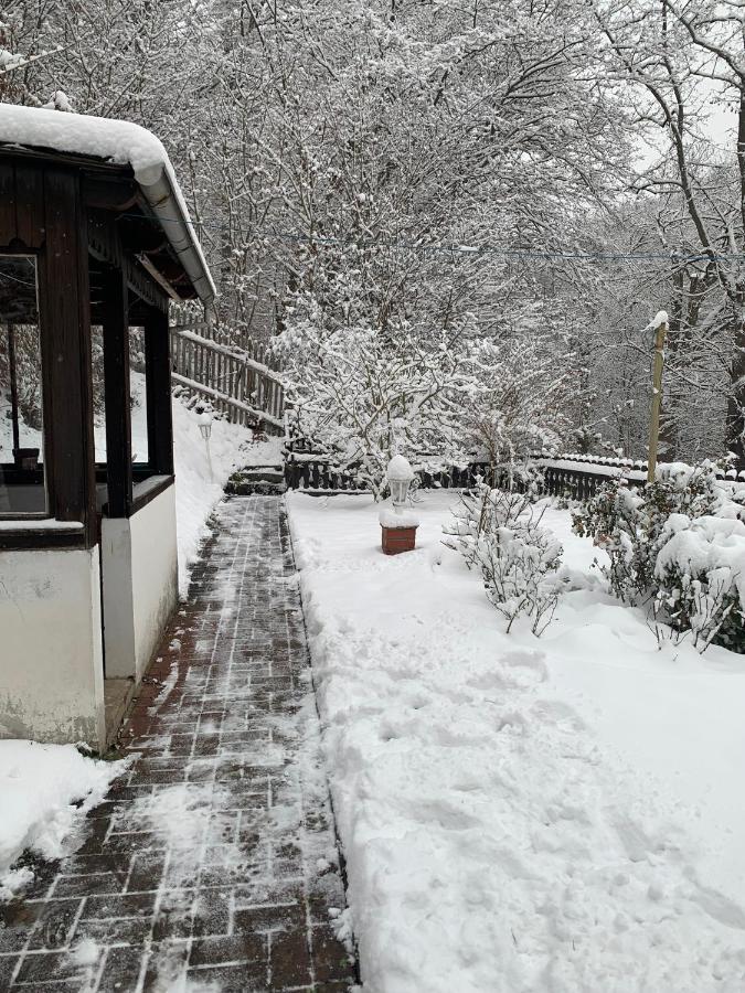 Ferienhaus Andrea Am Bodetal Treseburg Dış mekan fotoğraf