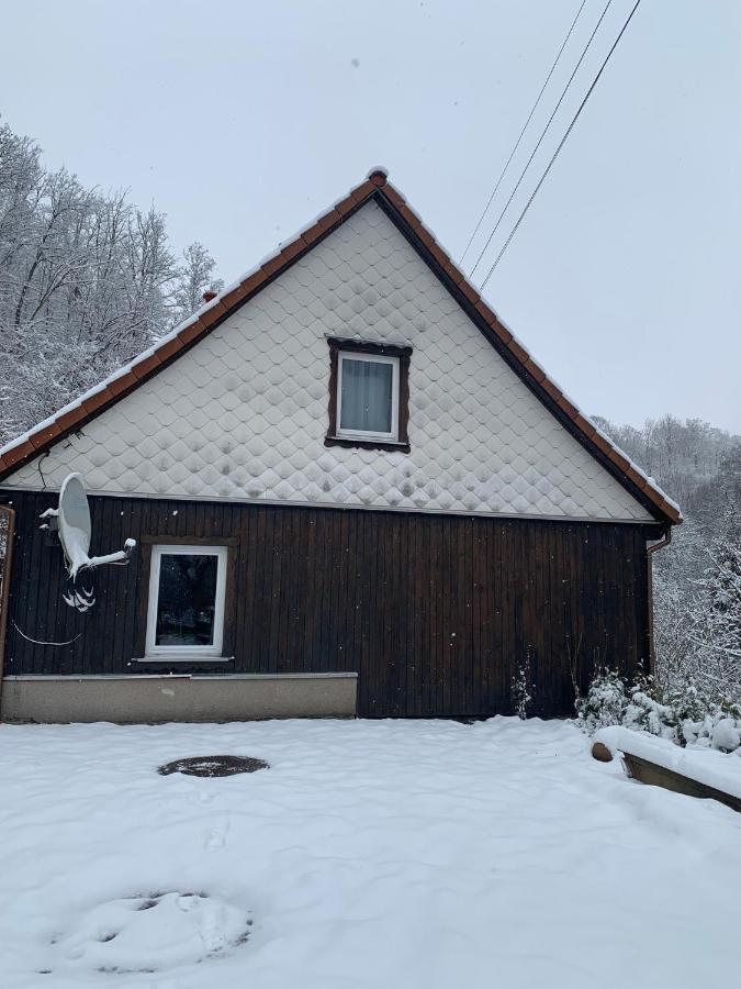 Ferienhaus Andrea Am Bodetal Treseburg Dış mekan fotoğraf