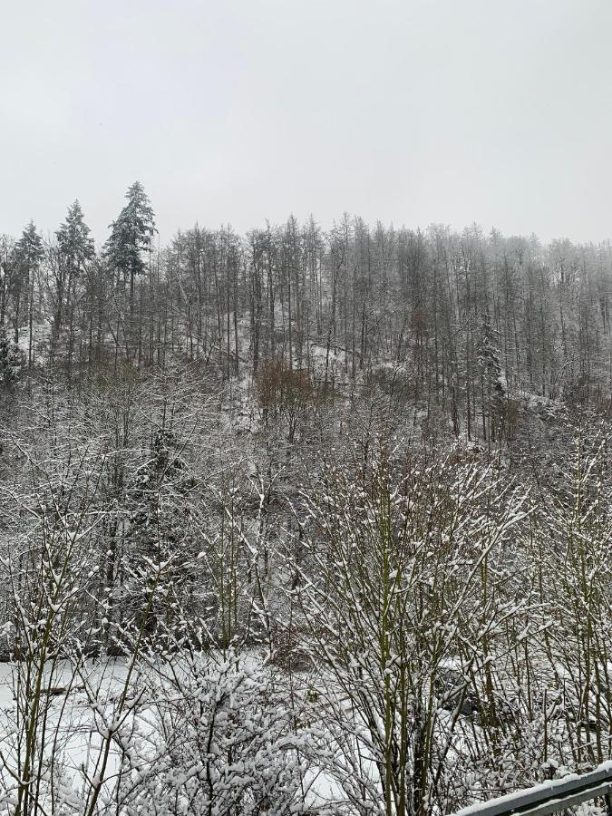 Ferienhaus Andrea Am Bodetal Treseburg Dış mekan fotoğraf
