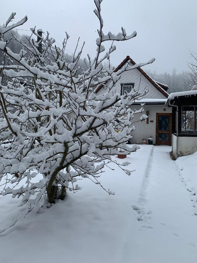 Ferienhaus Andrea Am Bodetal Treseburg Dış mekan fotoğraf
