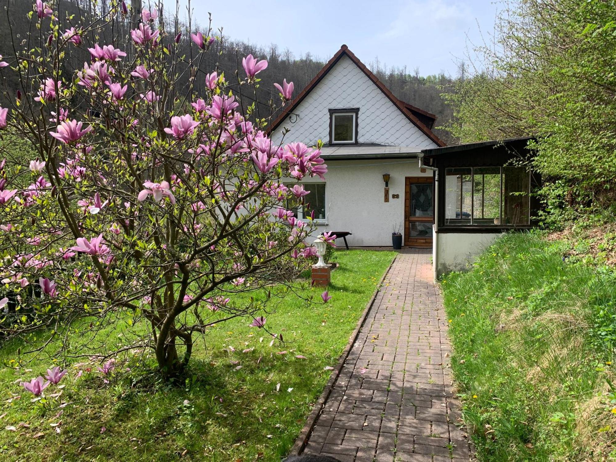 Ferienhaus Andrea Am Bodetal Treseburg Dış mekan fotoğraf